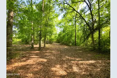 Tbd Nearing Hills Circle, Chipley, FL 32428 - Photo 3