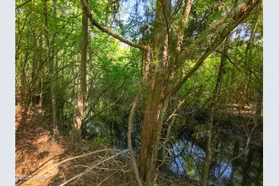 Tbd Nearing Hills Circle, Chipley, FL 32428 - Photo 19