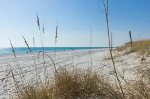 9900 S Thomas Dr, Panama City Beach, FL 32408 - Photo 39