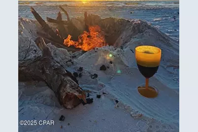 345 Marlin Street, Port Saint Joe, FL 32456 - Photo 19