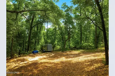 00 Corgi Lane, Chipley, FL 32428 - Photo 3
