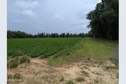 0 Sr-71, Malone, FL 32445 - Photo 3