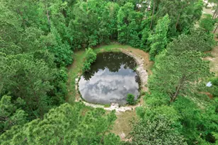 15766 NE Bob Sanders Rd, Hosford, FL 32334 - Photo 25