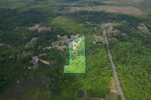 15766 NE Bob Sanders Rd, Hosford, FL 32334 - Photo 7