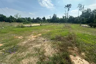 2010 O Hara Ave, Sneads, FL 32460 - Photo 3