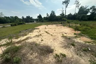 2010 O Hara Ave, Sneads, FL 32460 - Photo 5