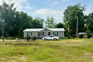 2010 O Hara Ave, Sneads, FL 32460 - Photo 1