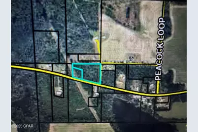 6834 Butler Road, Grand Ridge, FL 32442 - Photo 3