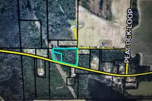 6834 Butler Rd, Grand Ridge, FL 32442 - Photo 3