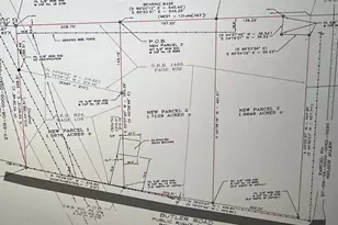 6834 Butler Rd, Grand Ridge, FL 32442 - Photo 5