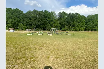 6345 Bullfrog, Bascom, FL 32423 - Photo 13