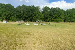 6345 Bullfrog, Bascom, FL 32423 - Photo 13