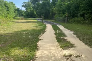 6345 Bullfrog, Bascom, FL 32423 - Photo 15