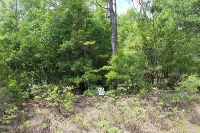 Lot 18 Arnone Lane, Chipley, FL 32428 - Photo 1