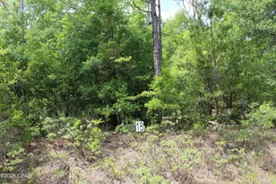 Lot 18 Arnone Ln, Chipley, FL 32428 - Photo 1