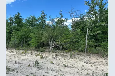 0000 NW Lakeside Avenue, Altha, FL 32421 - Photo 1