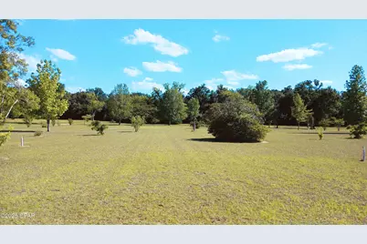 6694 Wolf Pond Road, Bascom, FL 32423 - Photo 5