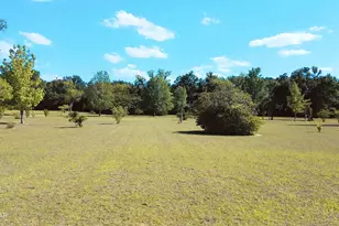 6694 Wolf Pond Rd, Bascom, FL 32423 - Photo 5