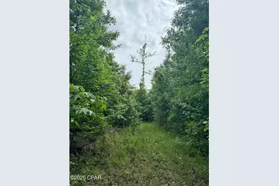 00 Delta Lane, Marianna, FL 32448 - Photo 7