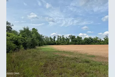 00 Delta Lane, Marianna, FL 32448 - Photo 3