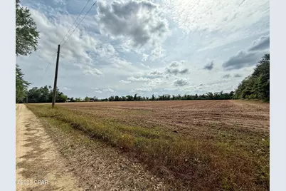 00 Delta Lane, Marianna, FL 32448 - Photo 9