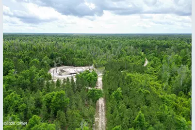 14567 SW Cj Roberts Road, Blountstown, FL 32424 - Photo 7