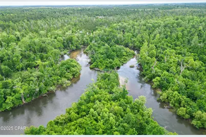 14567 SW Cj Roberts Road, Blountstown, FL 32424 - Photo 5