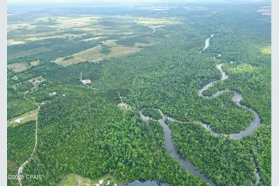 14567 SW Cj Roberts Road, Blountstown, FL 32424 - Photo 3