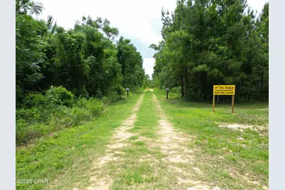 14567 SW Cj Roberts Road, Blountstown, FL 32424 - Photo 11