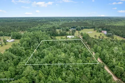 Xxx Whitetail Drive, Marianna, FL 32448 - Photo 9