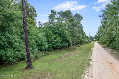 Xxx Whitetail Drive, Marianna, FL 32448 - Photo 23