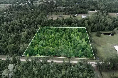 Xxx Whitetail Drive, Marianna, FL 32448 - Photo 11