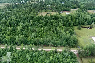 Xxx Whitetail Drive, Marianna, FL 32448 - Photo 13