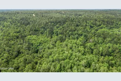 3100 Alhambra Drive, Chipley, FL 32428 - Photo 11