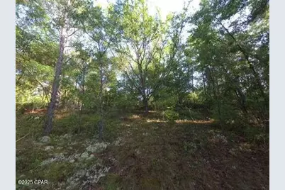 00 Payne Lake Road Road, Chipley, FL 32428 - Photo 9