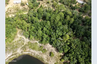 00 Payne Lake Road Road, Chipley, FL 32428 - Photo 5