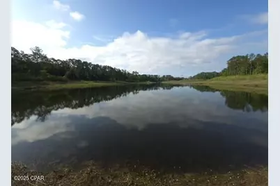 00 Payne Lake Road Road, Chipley, FL 32428 - Photo 3