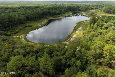 00 Payne Lake Road Road, Chipley, FL 32428 - Photo 7