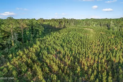 Xxx Cr 177 #Lot 1, Bonifay, FL 32425 - Photo 11