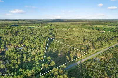 Xxx Cr 177 #Lot 1, Bonifay, FL 32425 - Photo 1