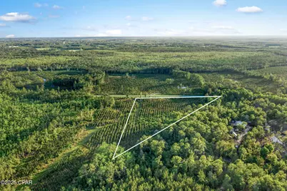 Xxx Cr 177 #Lot 1, Bonifay, FL 32425 - Photo 3