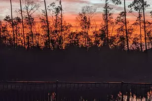 5910 Nordic Dr, Panama City, FL 32404 - Photo 3