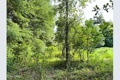 0 W Fort Road, Greenwood, FL 32443 - Photo 11