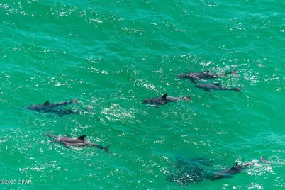 15817 Front Beach Road #1-1005, Panama City Beach, FL 32413 - Photo 51