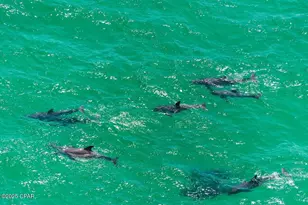 15817 Front Beach Rd, Panama City Beach, FL 32413 - Photo 51