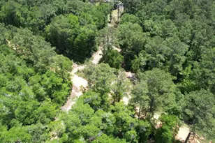 2921 Ambus Ln, Chipley, FL 32428 - Photo 7