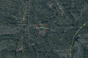 12D White Oak Ln, Bonifay, FL 32425 - Photo 1