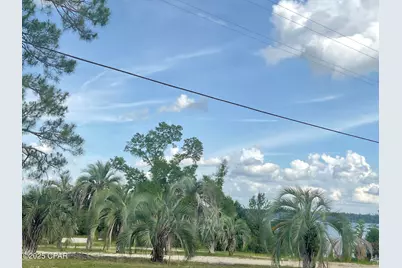 0 Lakepoint Road, Alford, FL 32420 - Photo 7