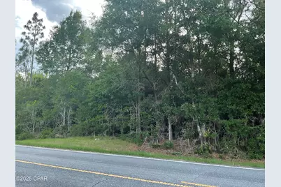 0 Lakepoint Road, Alford, FL 32420 - Photo 3