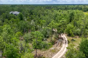 24197 NW Pine Tree Trl, Fountain, FL 32438 - Photo 73